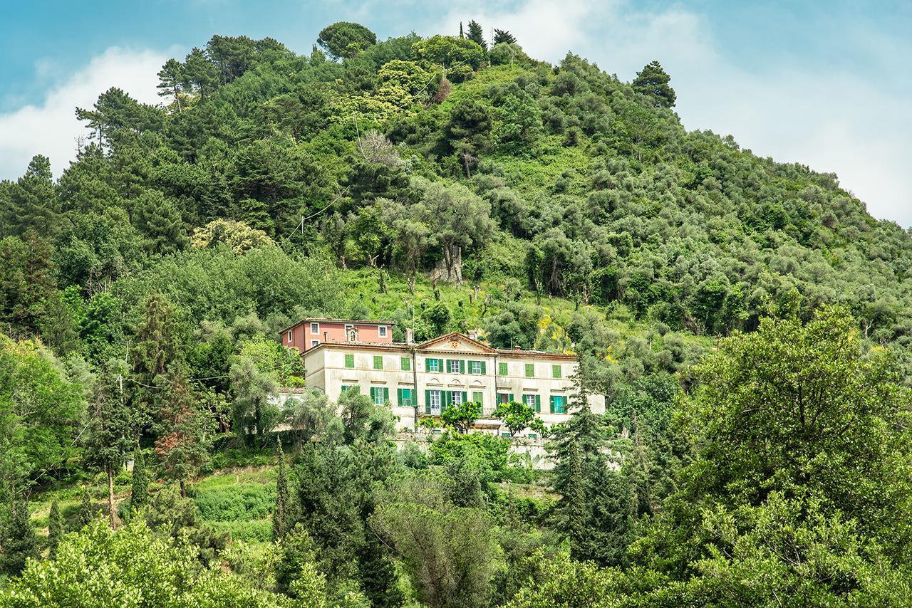 Agriturismo Villa Cavallini Camaiore Esterno foto